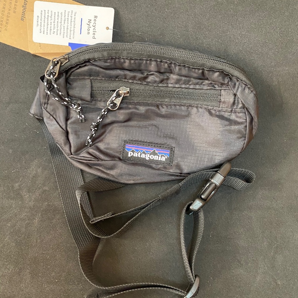 Patagonia Mini Hip Belt Bag
